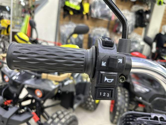 Электровелосипед Motax E-NOT Express Lux в Новосибирске