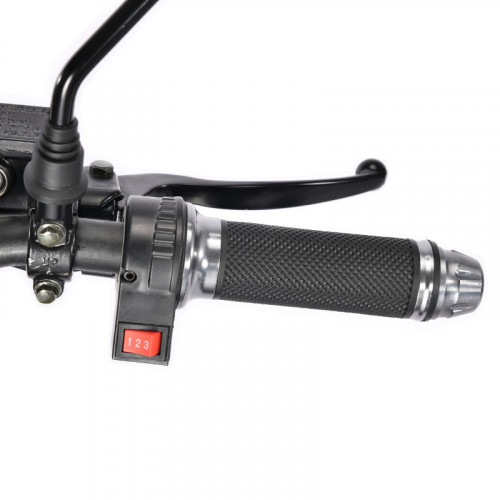 Электроскутер White Siberia TRIKE MINI 1500W в Новосибирске