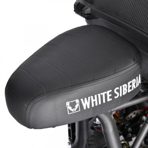 Электроскутер White Siberia TRIKE MINI 1500W в Новосибирске