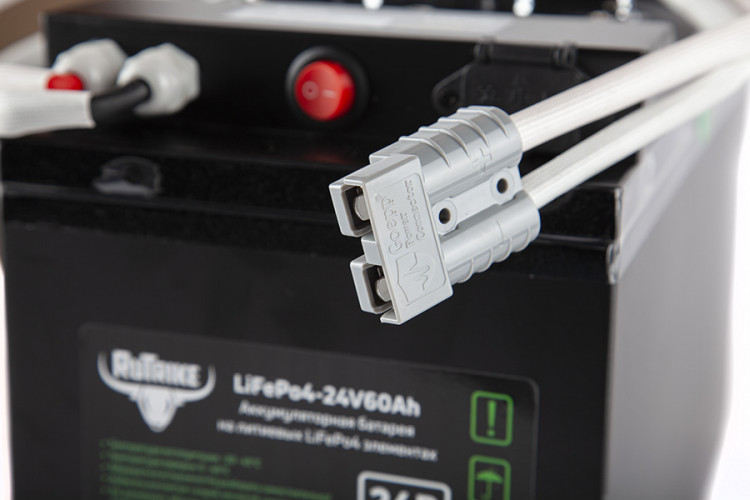 Тяговый железо-фосфатный аккумулятор RuTrike LiFePO4 60V48Ah (60А) в Новосибирске