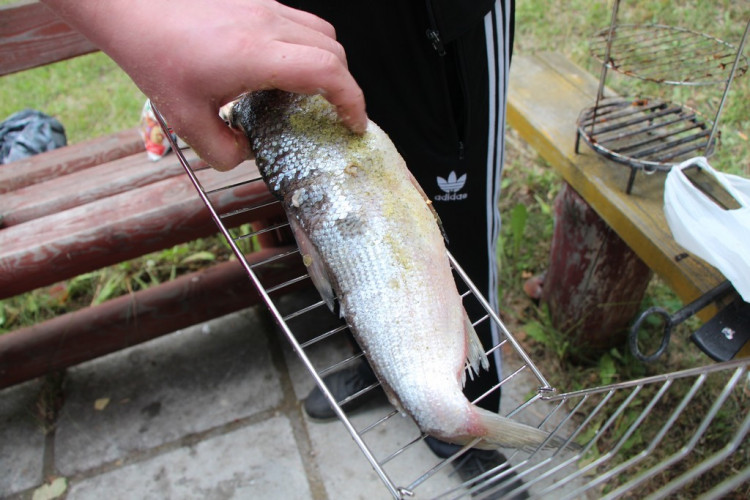 Решетка для рыбы в Новосибирске