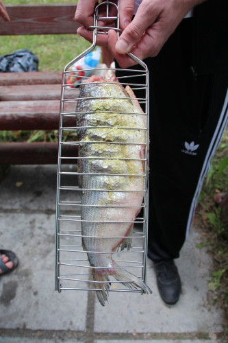 Решетка для рыбы в Новосибирске