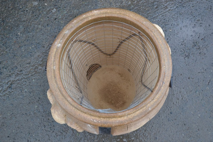 Тандыр Электрический Баран в Новосибирске