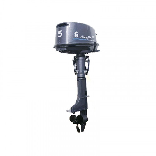 Лодочный мотор ALLFA CG T5 в Новосибирске