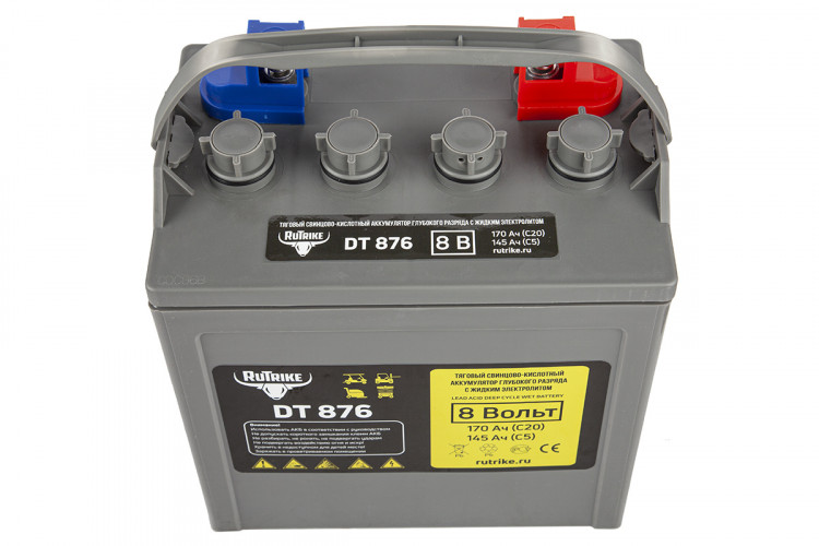 Тяговый аккумулятор RuTrike WET DT876 (T-875) 8V120A/H C3 в Новосибирске