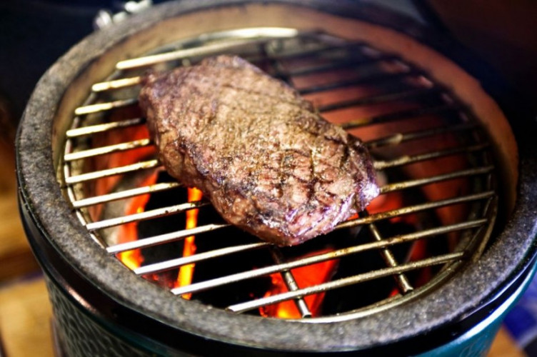 Гриль Зеленое Яйцо XL Egg в Новосибирске