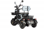Электротрицикл Wanshida UN MOTO в Новосибирске