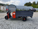 Грузовой электрический трицикл Pаntеrа Гидрaвлика 75V1500W в Новосибирске